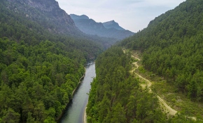Eşsiz flora ve faunasıyla sığla ormanları