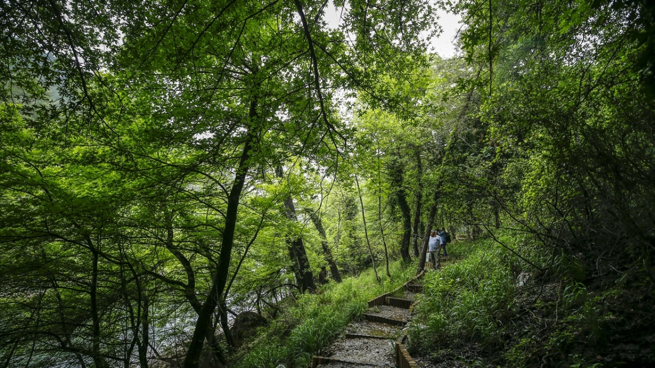 Turistik ziyarete kapalı tutulan Antalya`ya 70 kilometre uzaklıktaki alana, sadece bilimsel araştırma yapmak için giden grupların girişine izin veriliyor.
