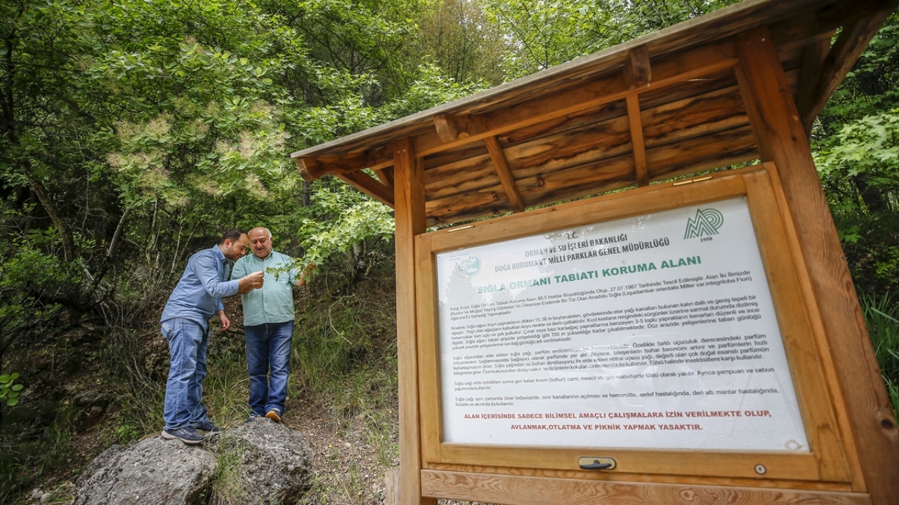 "Çok farklı, özel bir ortam"