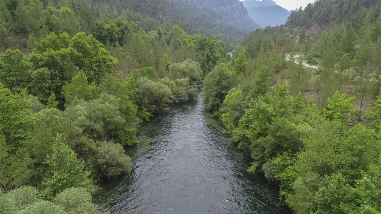 "Bilim insanlarını buraya davet ediyoruz"