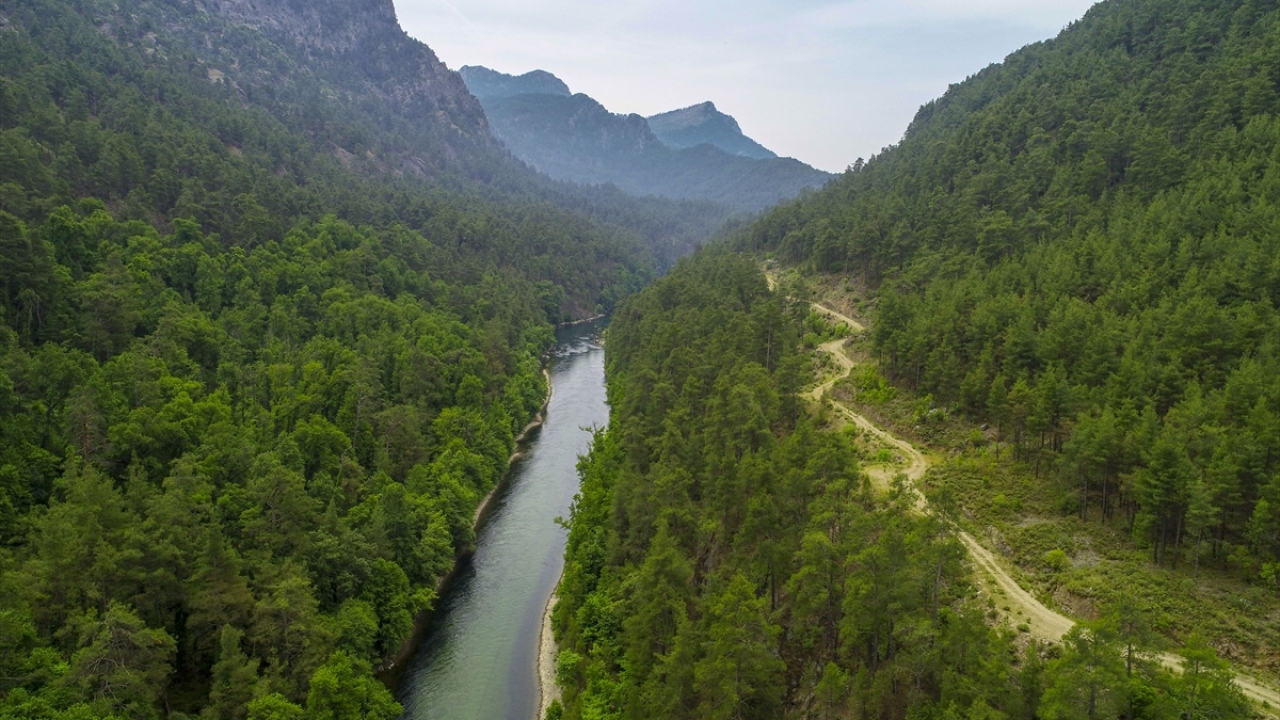 Kamil, müdürlük tarafından alanın flora ve fauna çeşitliliğinin belirlenmesi amacıyla 2015 yılı içinde yapılan araştırma raporunun kitap haline getirildiğini ancak daha kapsamlı araştırmalarla kitabın daha da zenginleşebileceğini kaydetti.
