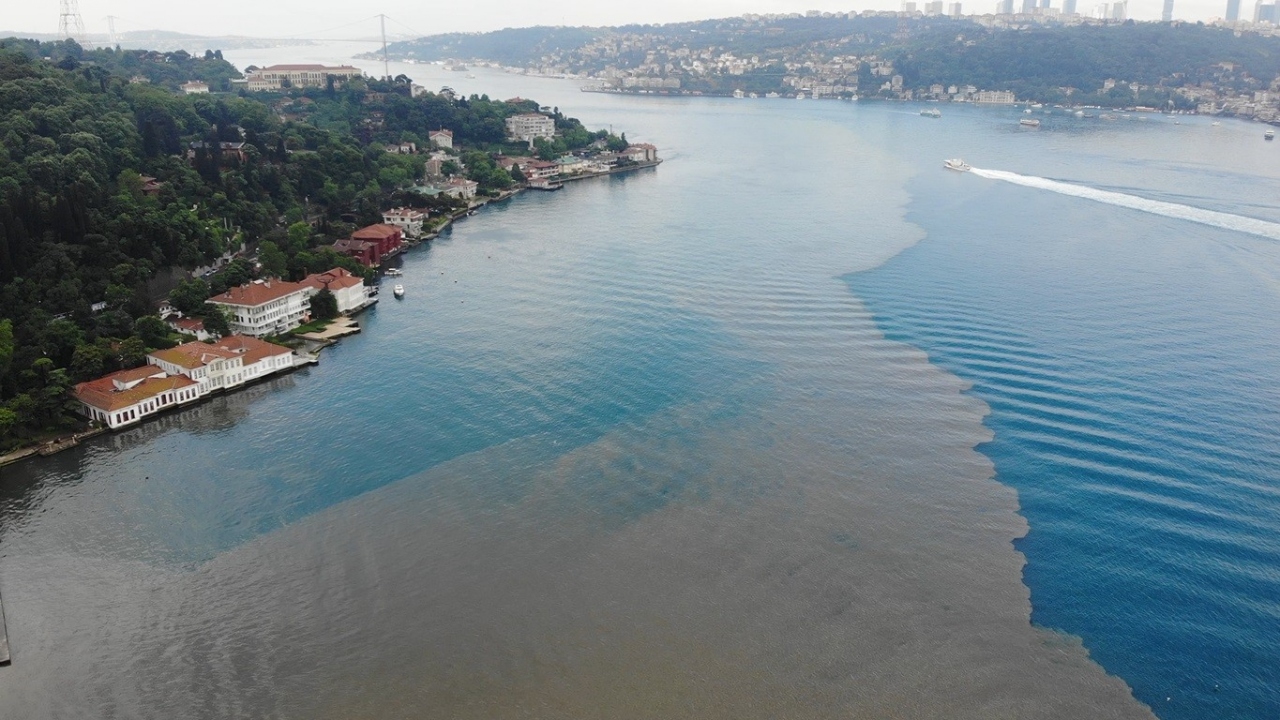 Deniz suyuna karışan çamur, kıyıda ilginç manzaralara sahne oldu.