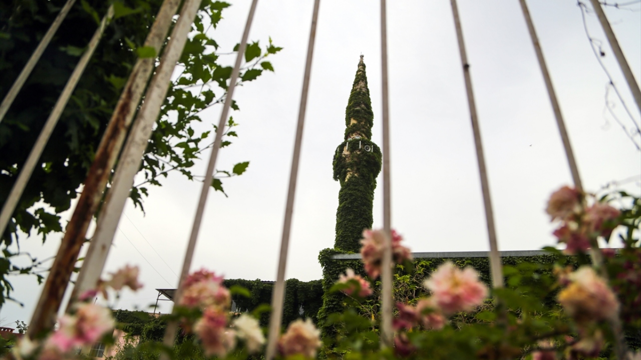 Cami müezzini Alican Çelikel de büyüdüğü mahallenin camisinde görev almaktan memnuniyet duyduğunu dile getirerek, "Camimiz özellikle ramazanda Adana`nın çeşitli yerlerinden, hatta şehir dışından turistler de dahil insanların ilgisini çekiyor." dedi.