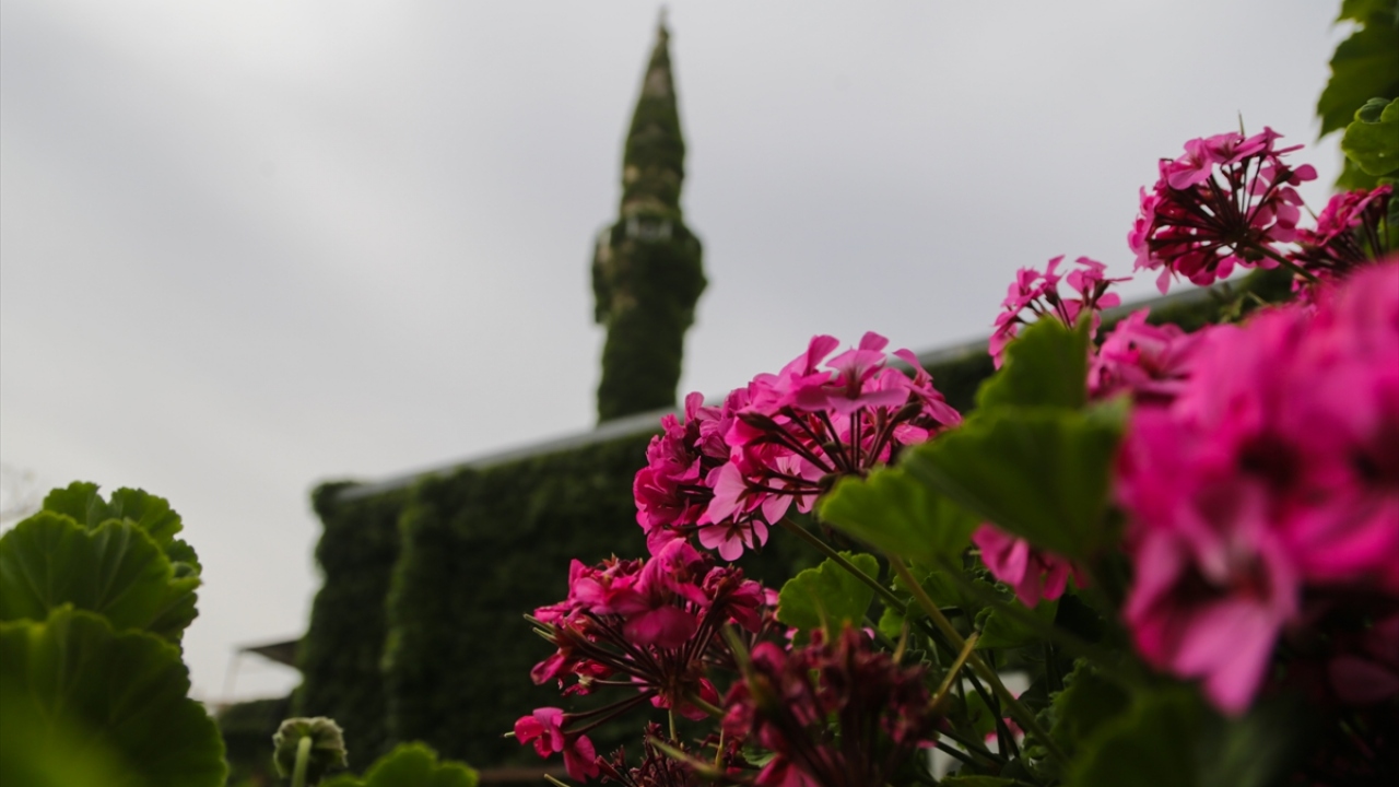 Cemaatten Şaban Salkım, caminin bakımlı olduğunu belirterek, ramazanda özel olarak buraya gelenlerin sayısının arttığını anlattı. 