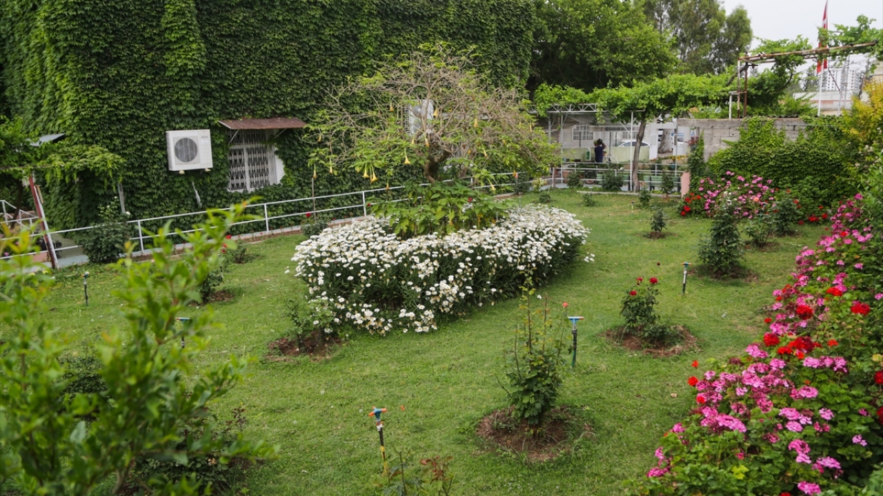 Kahramanmaraş`ın Göksun ilçesinden camiyi görmek ve ibadet etmek için gelen Mirza Telli de camiyi 7-8 yıldan bu yana ziyaret ederek vakit namazlarını burada kıldığını belirtti.