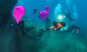 Yunanistan'da denizden 2 ton balık ağı çıkarıldı