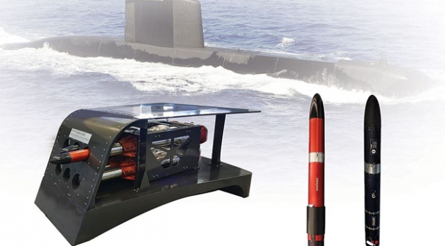 ASELSAN'dan yeni ihracat başarısı