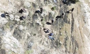 Hasankeyf'te 4 terörist böyle teslim oldu