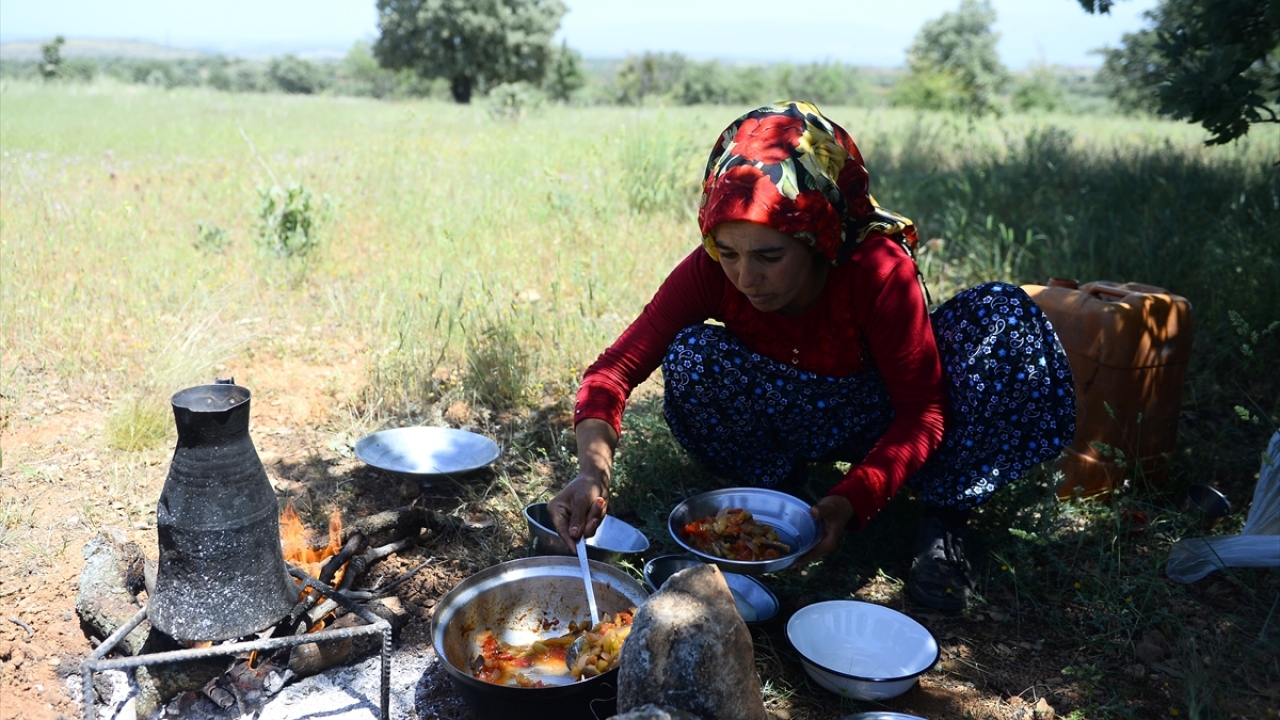 Gece gündüz demeden sırayla Denizli`nin Bekilli ilçeleriyle Uşak`ın Karahallı ve Sivaslı ilçelerindeki çok sayıda köyü geçecek olan Yörük çobanları, yaylalara ulaşmak için geniş ovalar, derin kanyonlar ve sık ormanlıkları aşacak. 