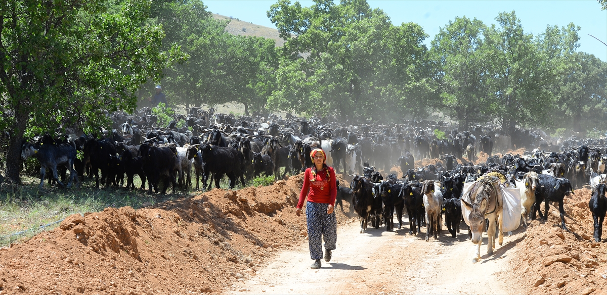 "Hayvancılık yaparak geçimimizi sağlıyoruz."
