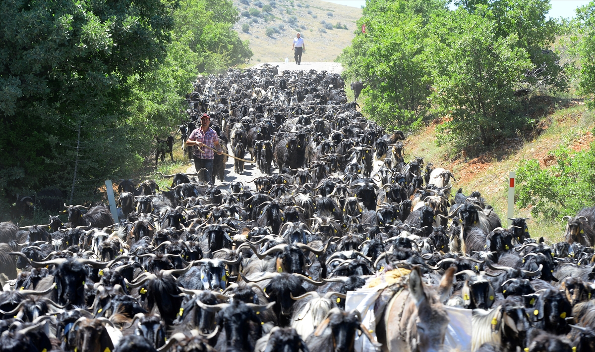Serin yaylalar verimi artırıyor