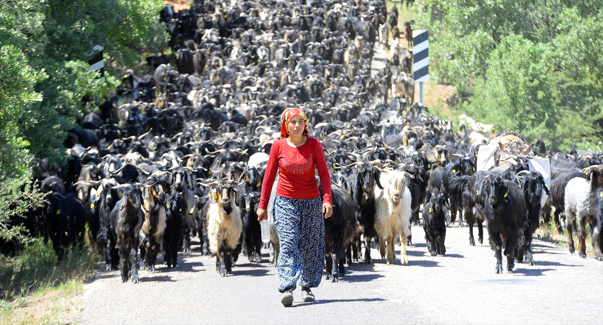 Eşi Emin Çakal ile birlikte günlerce yürüyen iki çocuk annesi Yurdagül Çakal ise dağlarda olmanın kendisine güç verdiğini dile getirdi.  