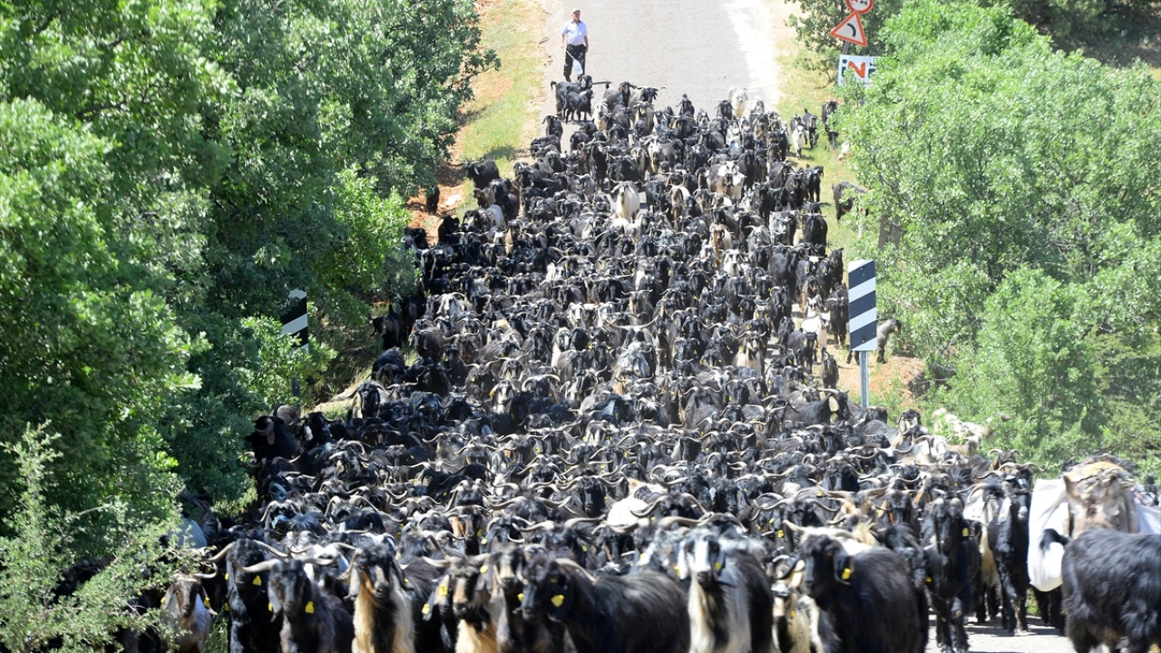 Çocuklarını dağlarda büyüttüğünü söyleyen Yurdagül Çakal, "Bizim işimiz hiç bitmez, ben seviyorum. Hayatımız havyan peşinde böyle geçiyor. Sağlığımızın yerinde olması yeterli. Sadece çocuklarımın iyi bir eğitim almasını istiyorum." diye konuştu. 
