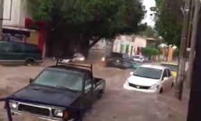 Meksika'da sel araçları sürükledi