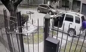 Soyguncular saldırdı, köpekleri kurtardı