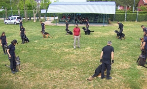 Emniyetin göz bebekleri "özel köpekler"