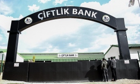 Çiftlik Bank'ın tahliye edilen sanığı TRT Haber'e konuştu