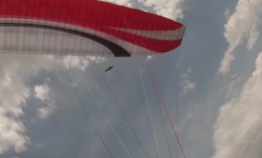 Yamaç paraşütçüsünün şahin ile mücadelesi kamerada