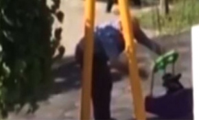 Salıncakta sallanan köpek inmek istemedi