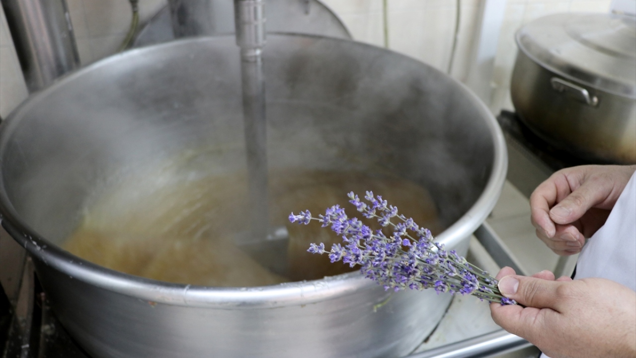 Kılıç, "mor turizm" ile Edirne`nin binlerce turist çekmeye başladığını söyledi.