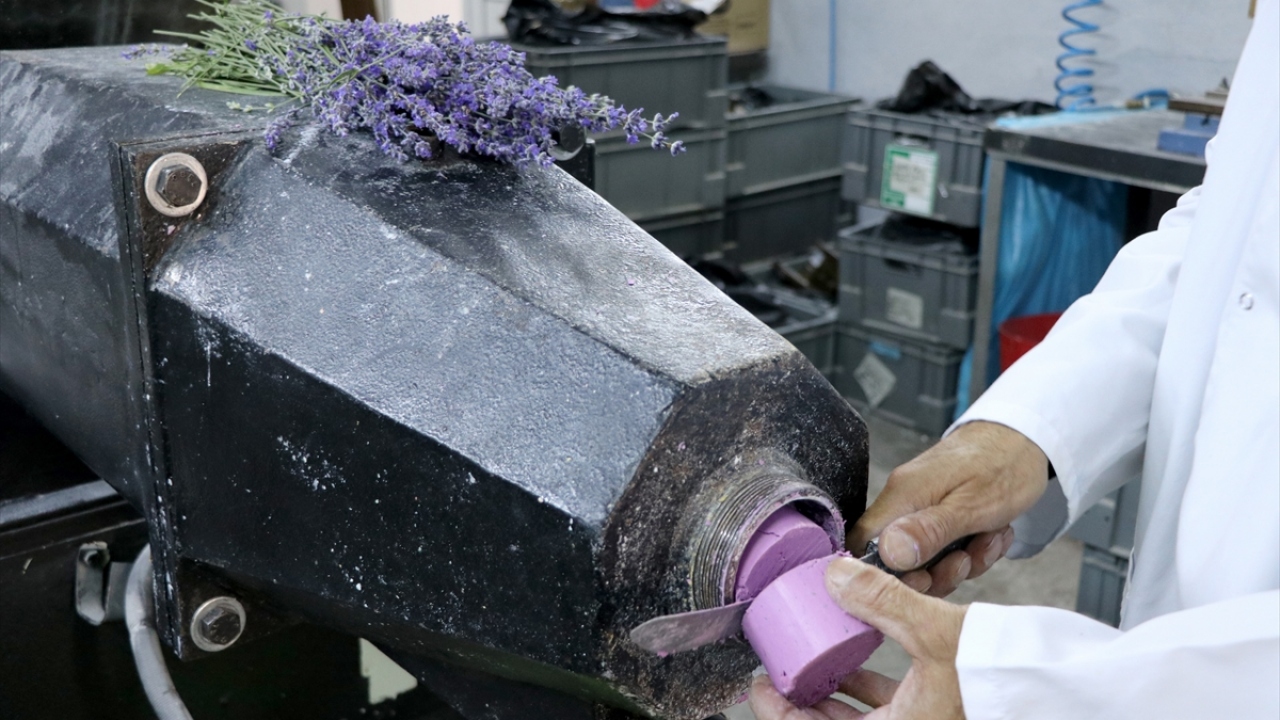 Esnaf bugünlerde ziyaretçileri en iyi şekilde ağırlamak için hazırlık yapıyor.