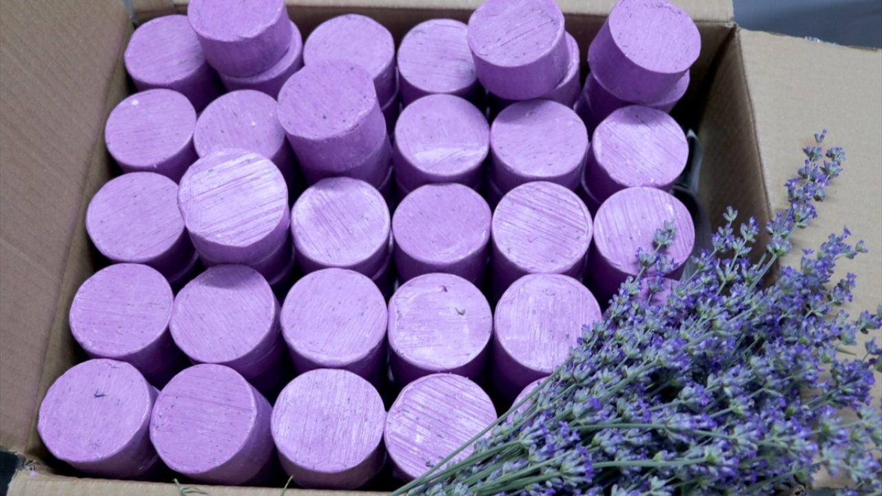 Esnaf, lavantanın şerbetini, kurabiyesini, dondurmasını ve lokumunu üretiyor.