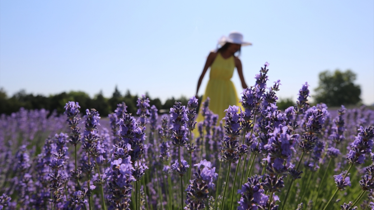 Kültür, inanç ve deniz turizmiyle ünlü Edirne...