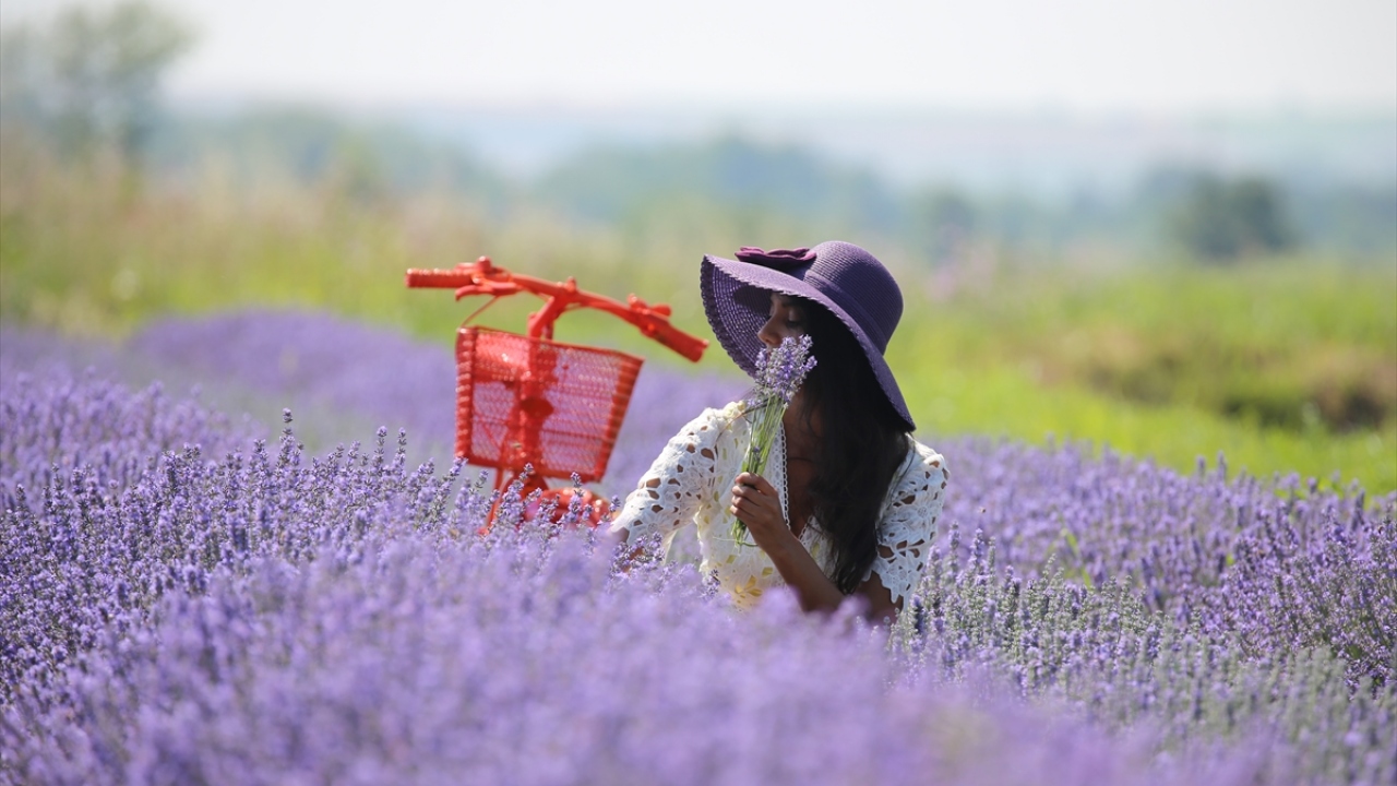 2`ncisi düzenlenecek olan etkinlik, Edirne Tarımsal Araştırma Enstitüsü tarafından yapılıyor.