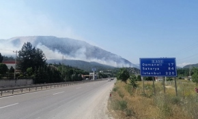 Bilecik'te orman yangını