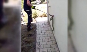 Eve giren 3 metrelik yılanı itfaiye çıkardı