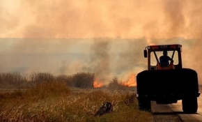 Terör örgütü YPG/PKK, tarım arazilerinde yangın çıkardı