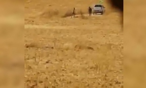 Terör örgütü YPG/PKK Suriye'de tarım arazilerini yakıyor