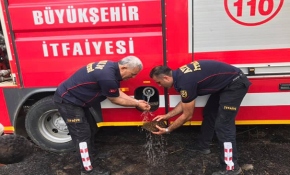 Hatay'da su kuyusuna düşen kirpi kurtarıldı