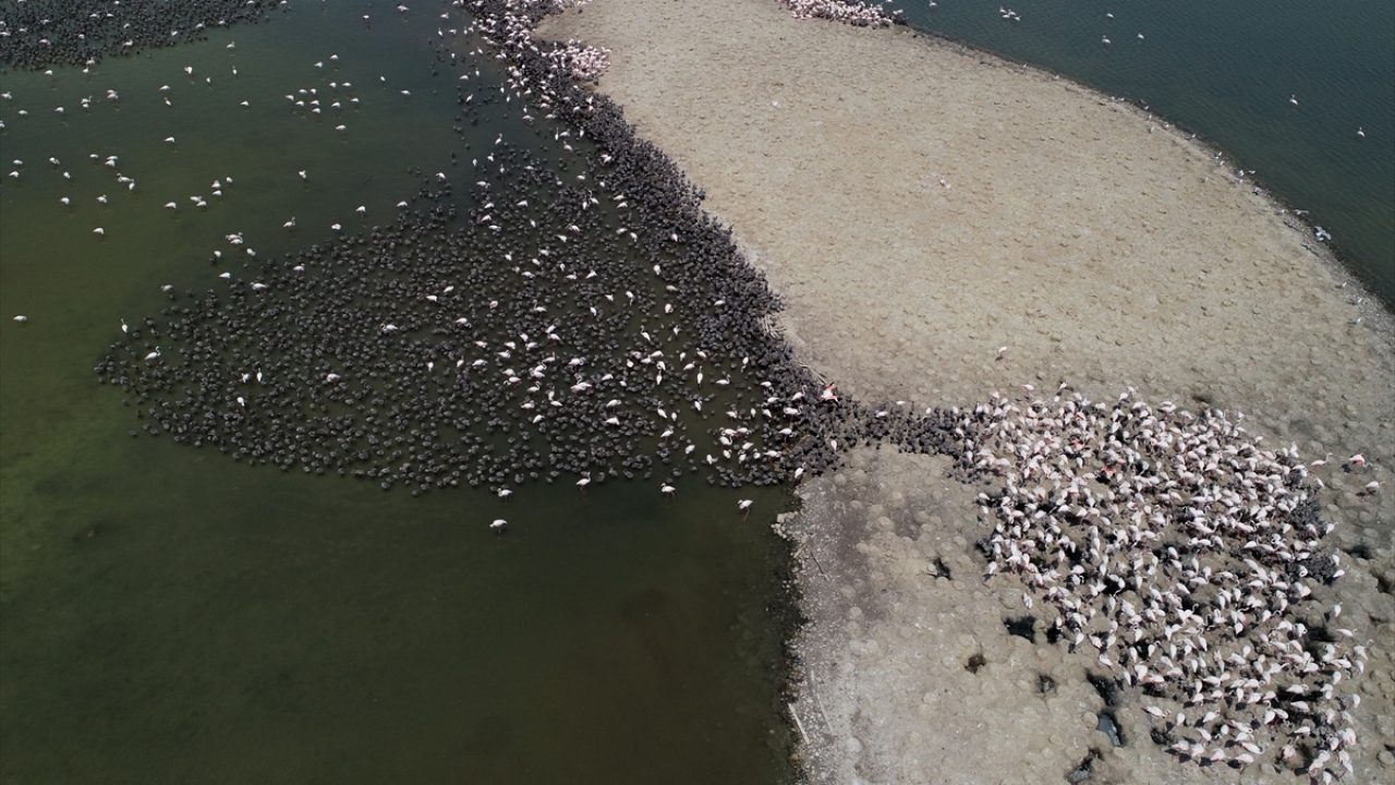 Yavrulara kreşte bakıyorlar
