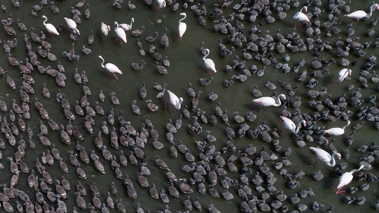 Eylül ayında uçacaklar