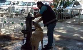 Sıcaktan bunalan köpeğe polis şefkati