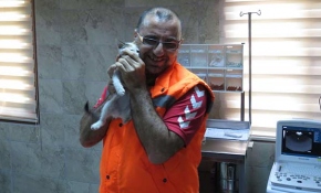 Yavru kediyi kurtaran kahraman işçi o anları anlattı