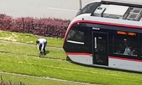 Tramvayı durdurup rayların üzerindeki güvercini kurtardı