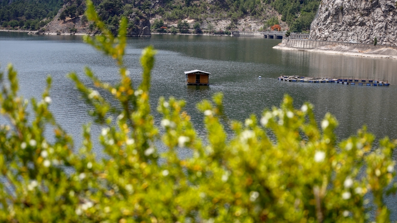 "Burası balık tutup eğlenmek için çok güzel bir yer."