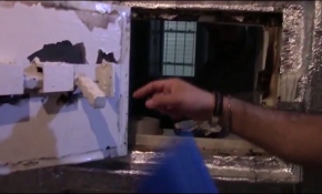 Gri listedeki aranan terörist dergi baskınında yakalandı