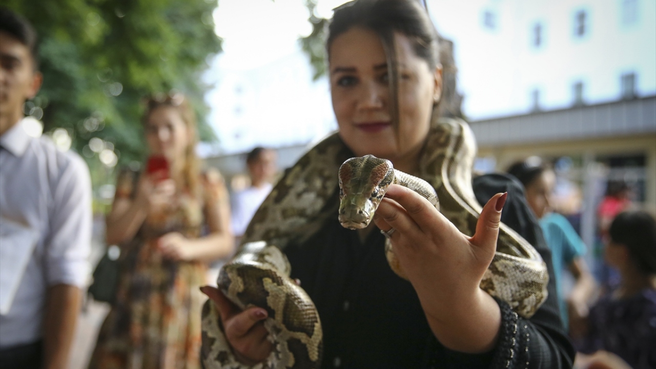 Şehir merkezinde boynuna doladığı yılanla gösteri yapan bir Tacikistanlı, ziyaretçilerin ilgisini çekti.