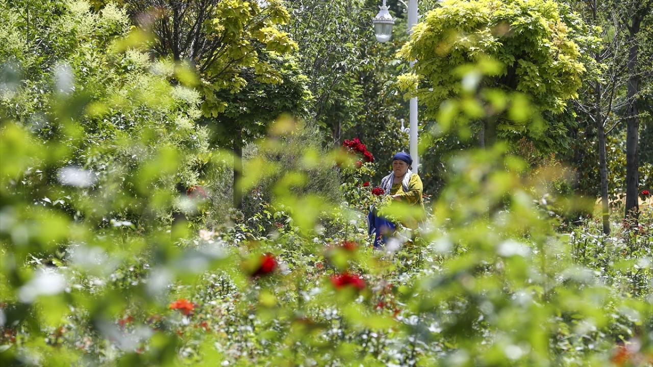 Duşanbe`de yaşayan vatandaşlar da parka ilgi gösteriyor.