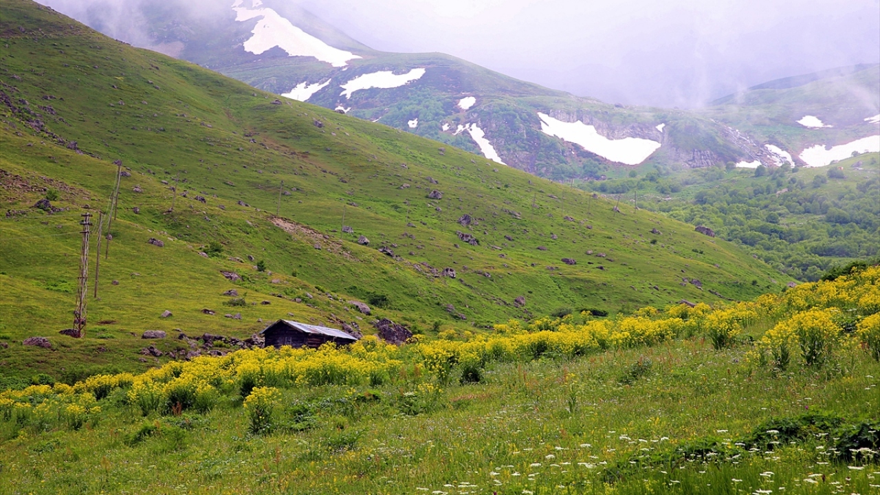 Haldizen Vadisi`nin dik yamaçlarının arasındaki yaklaşık 1900 rakımlı Demirkapı Yaylası, konaklama imkanları, yöre kültür ve lezzetleriyle de ziyaretçilerini kendisine hayran bırakıyor.