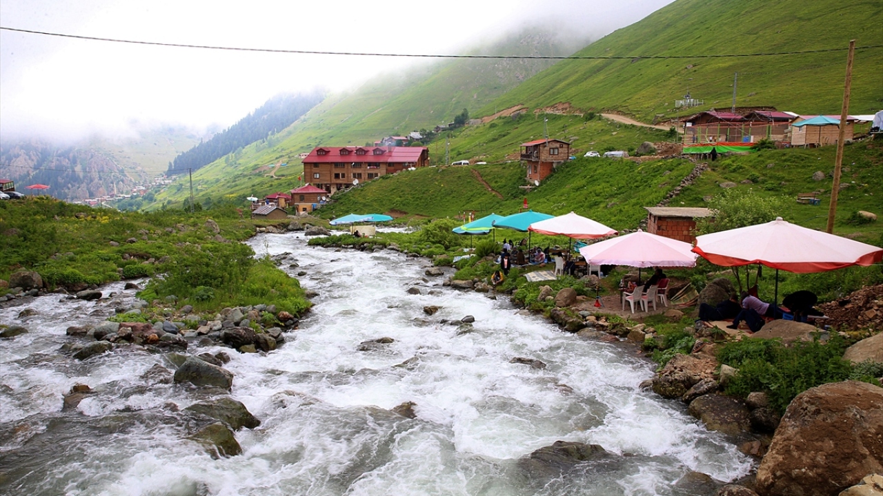 Misafirlerine göl ve dere kenarında dinlenme, trekking, foto safari, dağ bisikleti gibi farklı alternatifler de sunan yayla, aynı zamanda Uzungöl ile krater gölleri olarak bilinen "Yedigöller" bölgesine yakınlığıyla da dikkati çekiyor.
