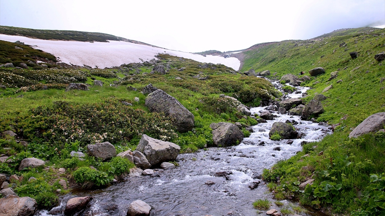 Yaylaya gelen turistler, ahşap ev ve otellerin yanı sıra göl kenarında kurulan çadırlarda da gün boyu vakit geçirebiliyor.