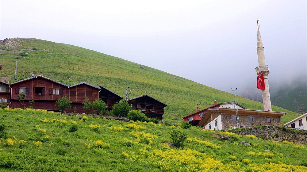 Çaykara Belediye Başkanı Hanefi Tok, yaptığı açıklamada, Çaykara ilçesinin Uzungöl başta olmak üzere Demirkapı Yaylası, Yedigöller gibi turizm destinasyonlarıyla adından giderek daha fazla söz ettirmeye başladığını söyledi.