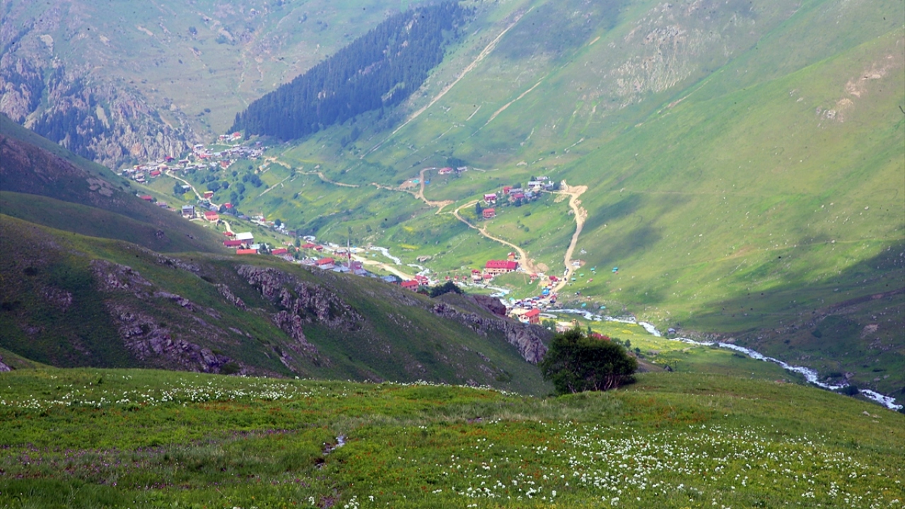 Tok, bu yıl daha fazla turist ağırlamayı beklediklerini, belediye olarak da turizmden alınan payı artırmak için her zaman farklı hizmetler sunmak için gayret ettiklerini de sözlerine ekledi.
