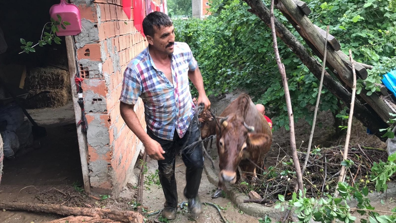 Ekiplerin alandaki çalışmaları sürerken vatandaşlar hayvanlarını kurtarmaya ve bölgeyi boşaltmaya çalıştı.