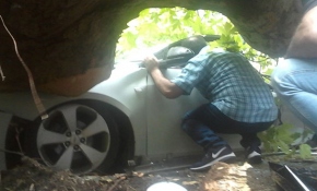 Ağaç otomobilin üzerine devrildi