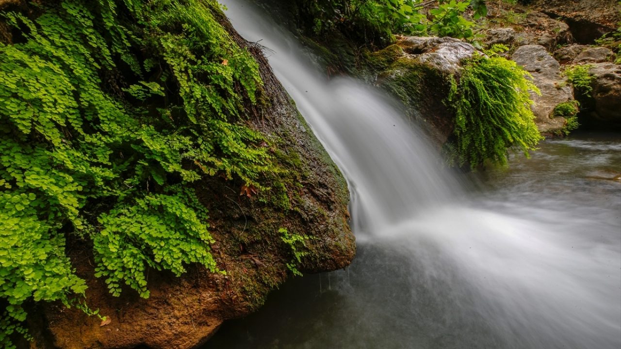 Mahalle sakinlerinin bölgeye sahip çıktığını aktaran Aldemir, orman içinde gizlenen güzelliğin Antalyalılar tarafından da çok iyi bilinmediğini ifade etti. 